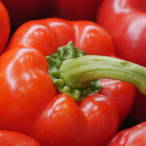 Pimiento