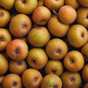Manzana reineta