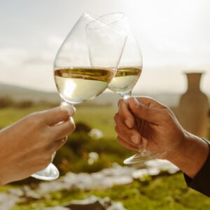 Vinos